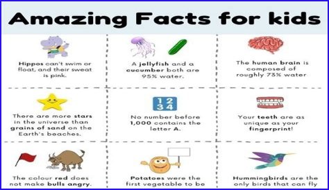 10 Facts You Need To Know About Stephen Curry