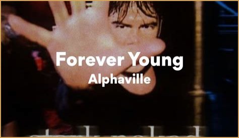 The Meaning Behind The Song: Forever by Dropkick Murphys